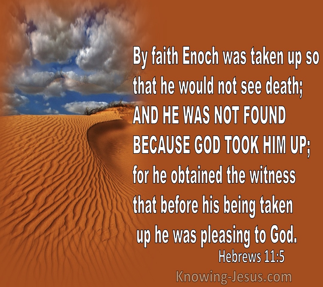 Hebrews 11:5 By Faith Enoch Was Taken Up So He Would Not See Death (orange)